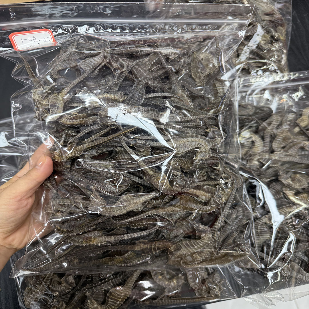 in stock Hippocampus Wholesale Traceability Code Hippocampus Aquatic Dry Goods Sea Line Pattern Hippocampus Soup Bag Soaking Wine Chinese Herbal Medicine