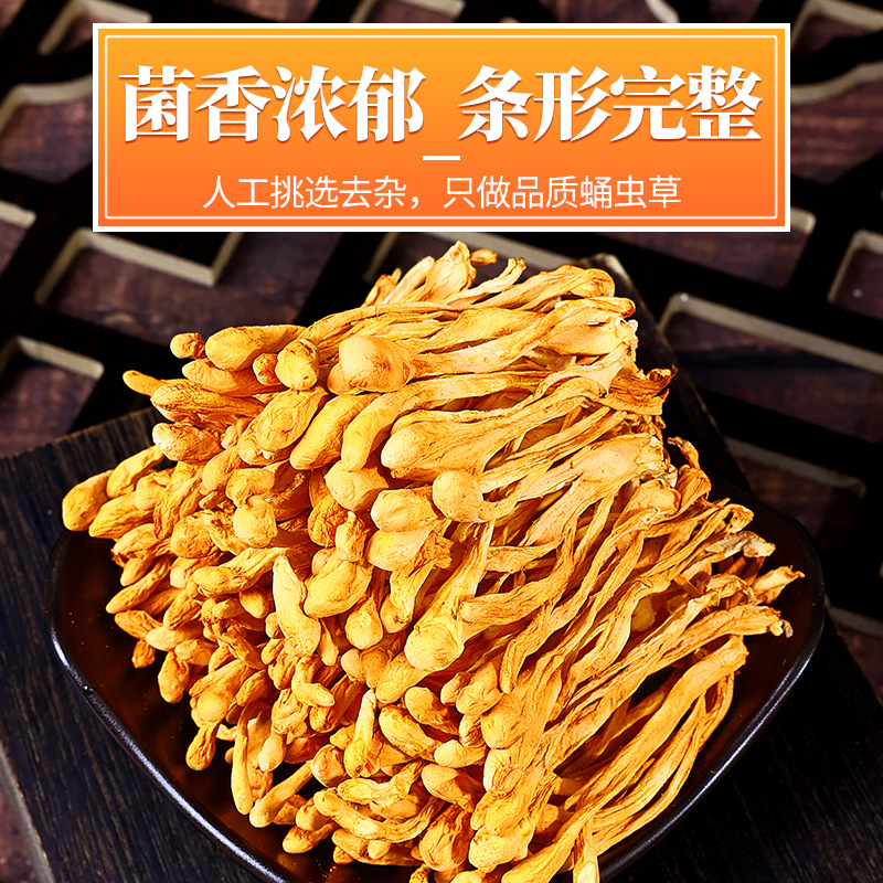 Cordyceps militaris Selected Cordyceps militaris Cordyceps militaris Cordyceps militaris Cordyceps militaris Flower Spore Head Dry Mushroom Soup Soup Ingredients