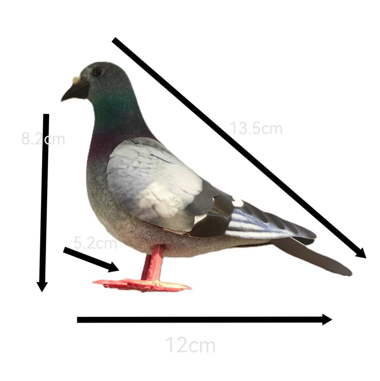 Simulation of wild pigeon | turtledove | flocked pigeon