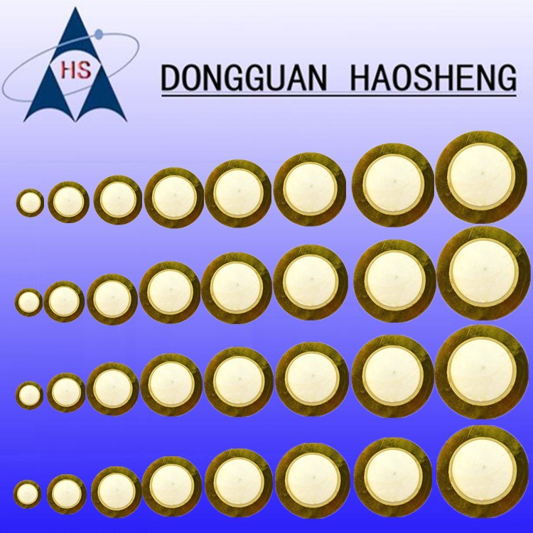 Factory Price for Insect Repellent Device 27mm Iron 18 Ceramic Buzzer, Anti-Loss Device 20mm with Lead Wire, Alarm 35mm