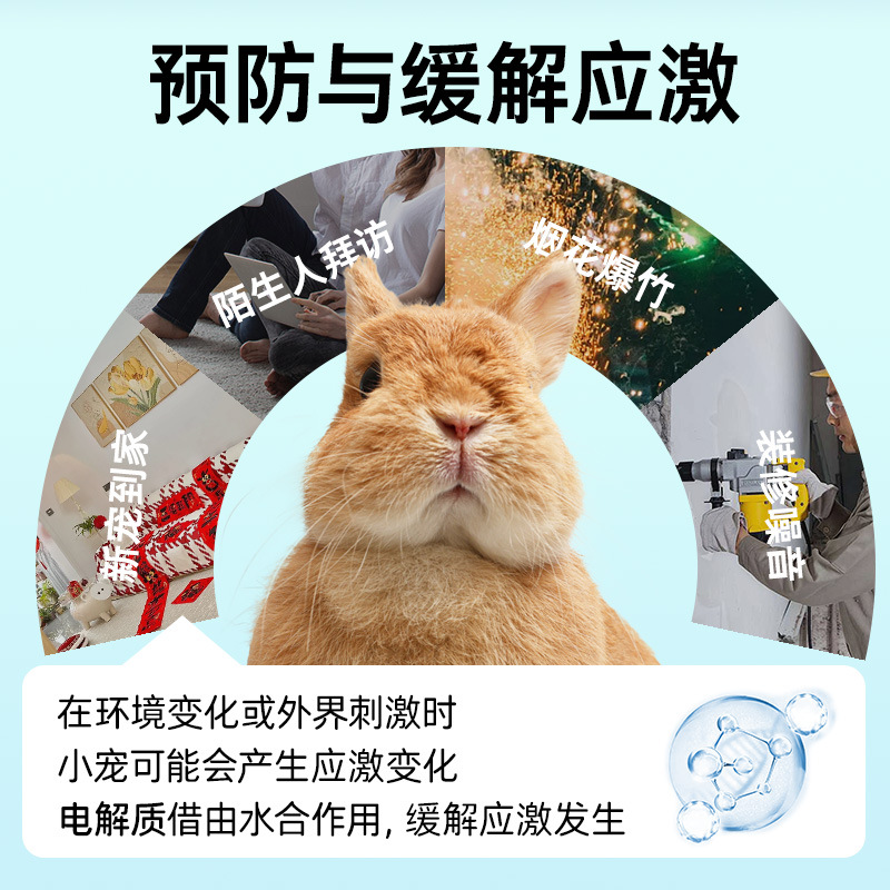Pet Naibao Small Pet Health Care Product Electrolyte Powder Rabbit Hamster Golden Bear Guinea Pig Chinchilla Sugar Glider Nutritional Supplement