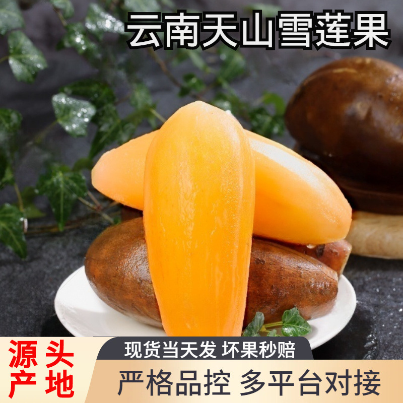 Свежий корень снежного лотоса Тяньшань из Юннани, сезонные свежие фрукты для беременных, красные и желтые сердечные корни снежного лотоса, оптовая продажа