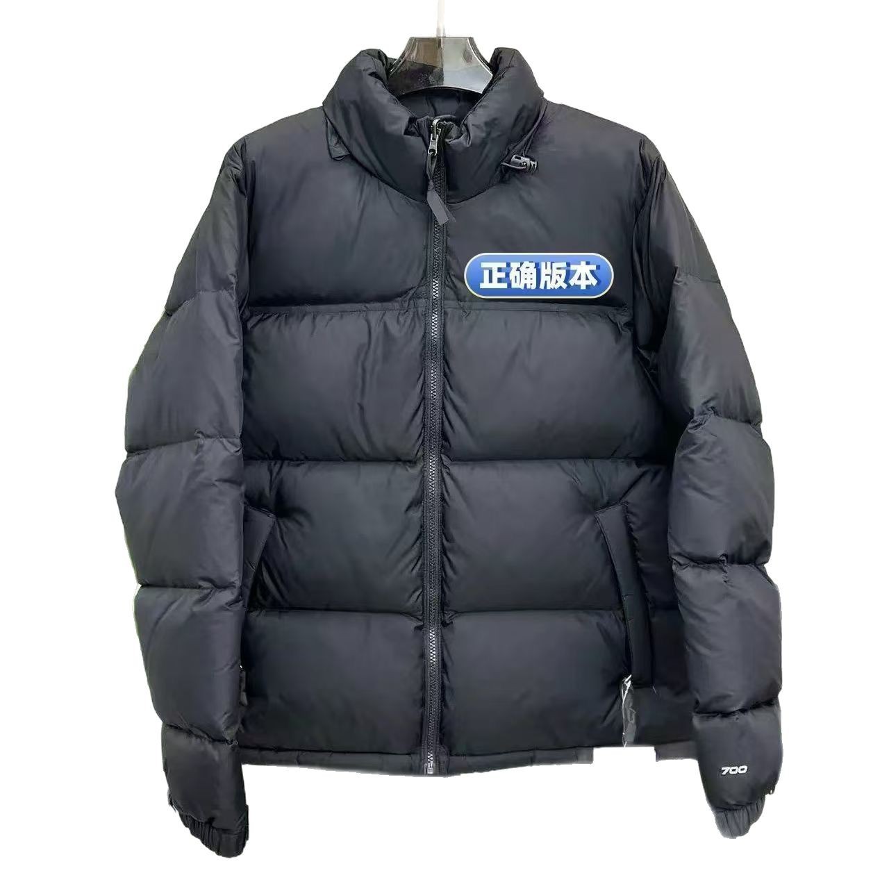 Putian Factory 1996 North Face down Jacket Windproof Waterproof Tnf700 Puffer Embroidered Thickened Warm Coat