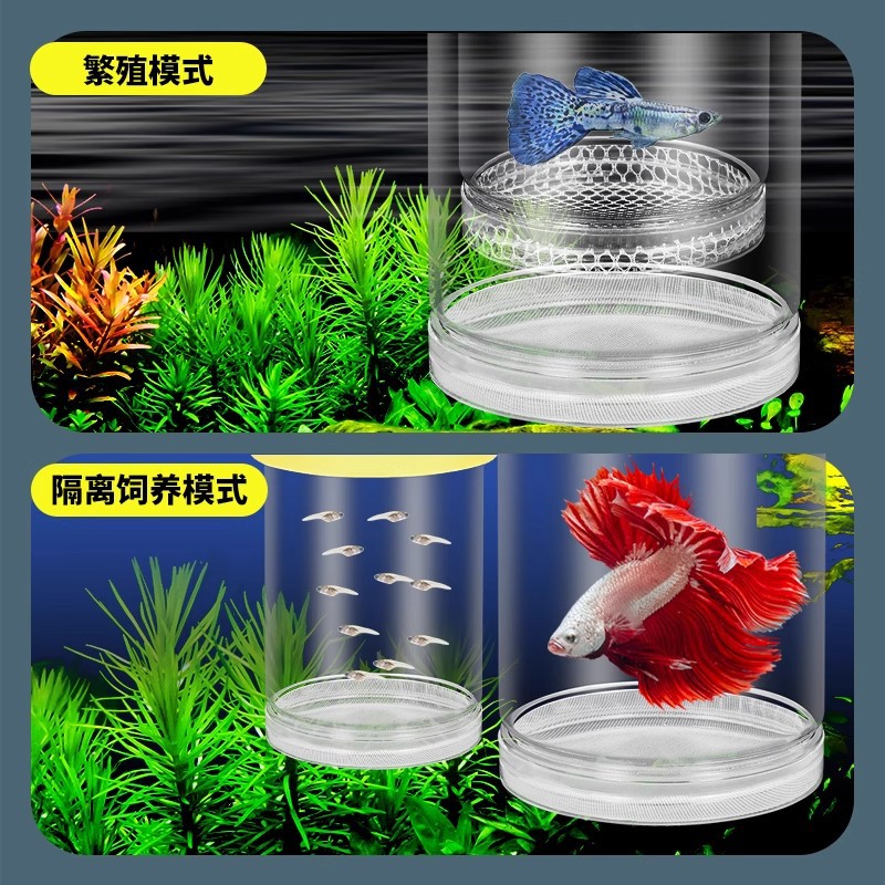 Suspension Incubation Box for Guppies, Zebra Fish, Bettas, Female Fish, Multifunctional Small Fish Fry Transparent Breeding Isolation Box