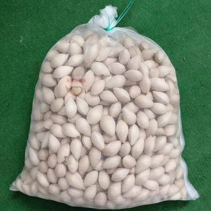 Hand-Picked Fresh Ginkgo Biloba from Farms in Taizhou, a Specialty of Taixing, 2025 Taixing Buddha Finger Raw Ginkgo Biloba