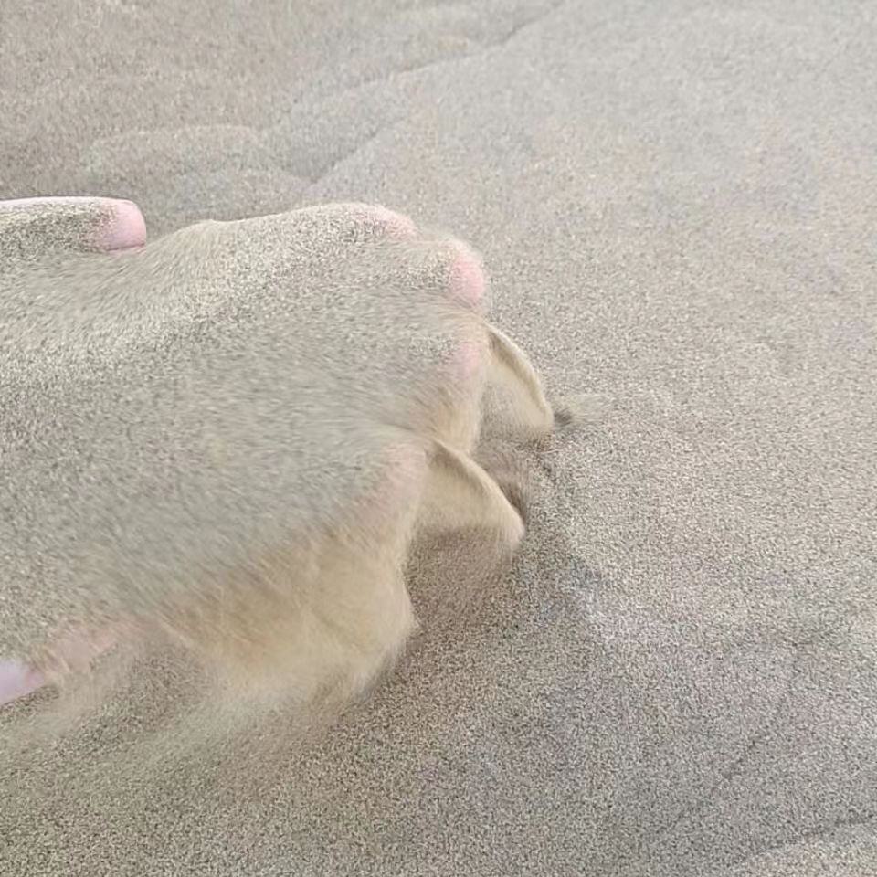 Supply of Coated Sand for Cast Iron and Cast Steel, High-Temperature Resistant油田 Support, Coated Sand for Children's Entertainment Sand Metallurgy Casting