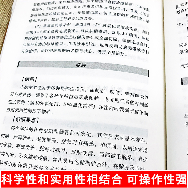 Authentic Pet Dog Training Technology Dog Disease Rapid Differential Diagnosis Atlas Treatment Book Dog Training Tutorial Line