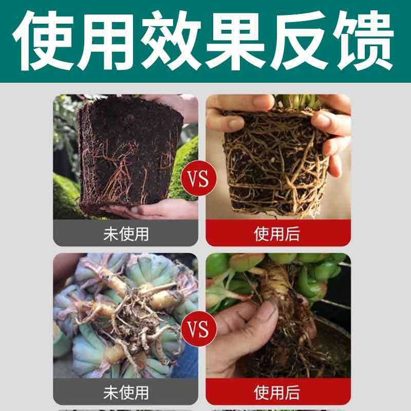 Rose Rooting Liquid Rooting Agent Cuttings Flower Arrangement Seedling Rapid Rooting Liquid Seedling Strengthening Agent New Root Strengthening Agent