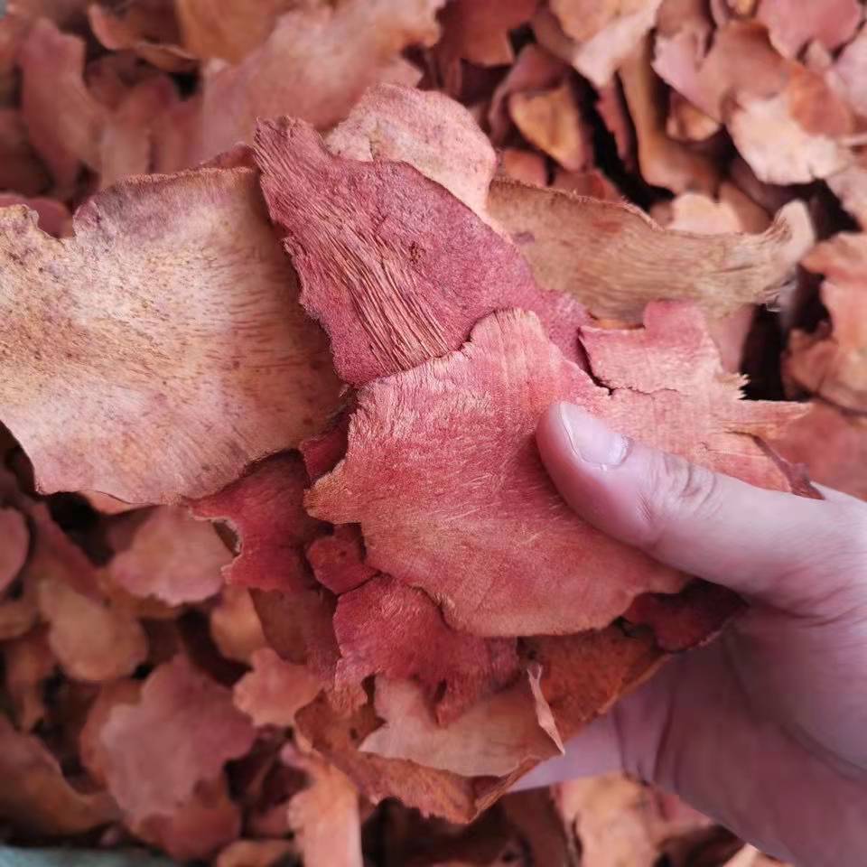 Smilax Smilax Wholesale Red Poria Various Specifications Chinese Medicinal Materials Free Powdering Wooden Smilax Soaked in Water 500g