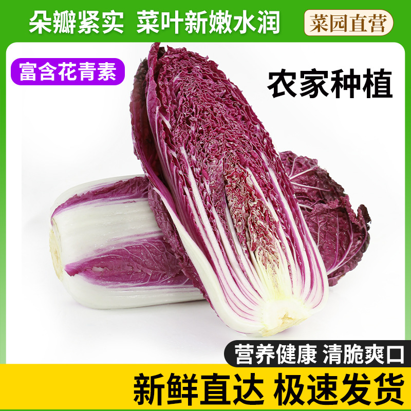 Дропшиппинг фиолетовой капусты, не ГМО, свежая фиолетовая капуста