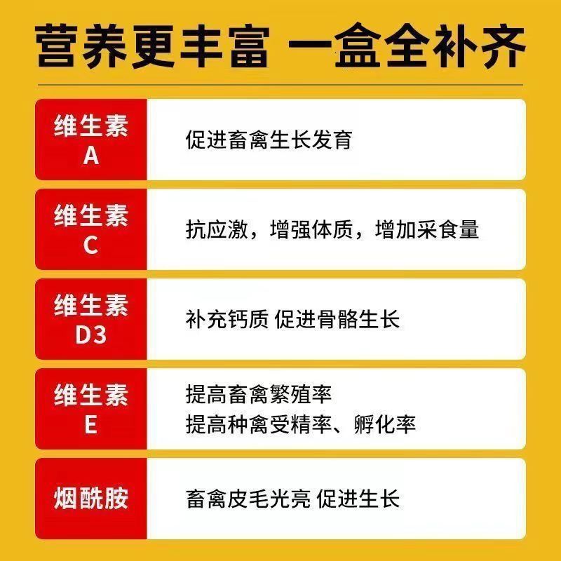 Pet Electrolyte Multi-Dimensional Parrot Rabbit Dog Cat Pigeon Chicken Pet Mouse Enhances Physical Fitness Parrot Supplement Nutrition Vitamins