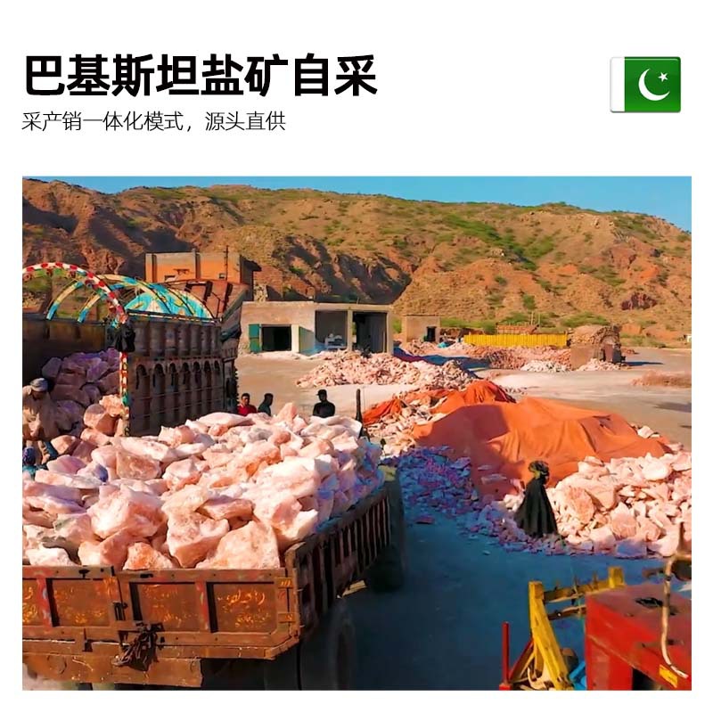 Imported Himalayan Rose Salt, Pakistani Salt, Mineral Salt, Salt Room, Crystal Salt Bricks, Decoration, Custom-Made by Manufacturers