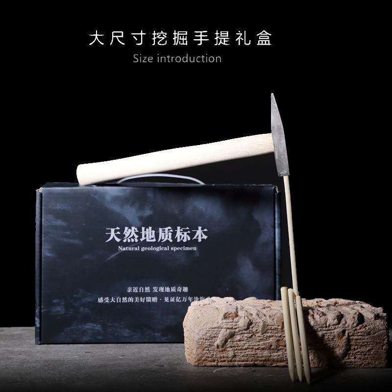 Archeological fossil parent-child archaeological excavation fossil original stone specimen ore fossil children's popular science teaching specimen