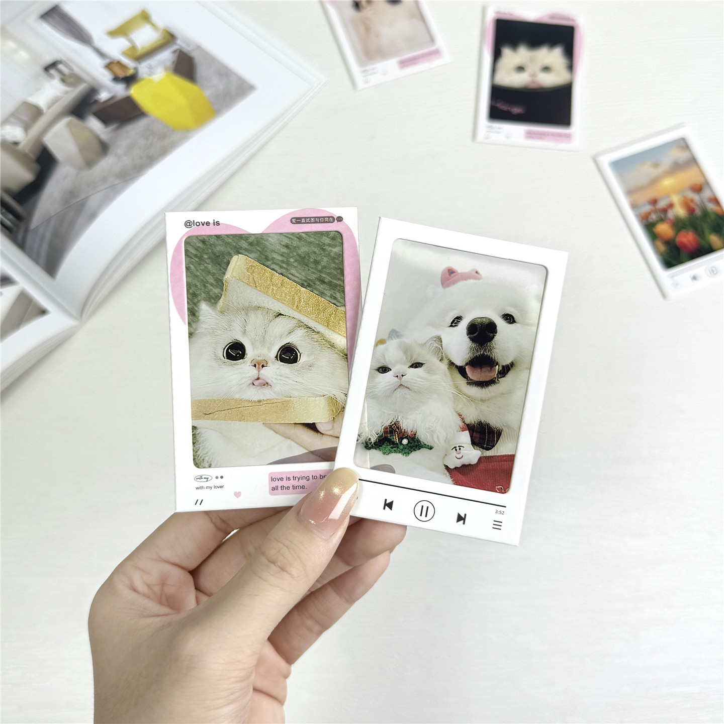 Paperone Series Film Clip Film Clip Slide Empty Clip Paper Frame Reverse Film Film Film