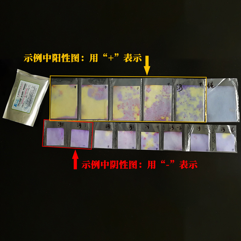 Hj755 Water Quality Fecal Coliform Test Paper for Medical and Domestic Sewage, High-Precision Portable Coliform Bacteria Detector