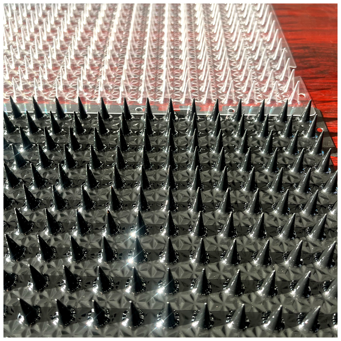 Anti-Cat Thorn Nails Amazon's Popular Anti-Cat Thorn Pads in Stock Wholesale Transparent Anti-Cat Thorns