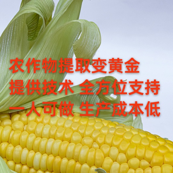 Crops Are Extracted to Produce Plant Protein Peptides, with Full Support from the Company to Help Farmers Start Their Own Businesses, Providing Technical Support and Supporting Repurchase