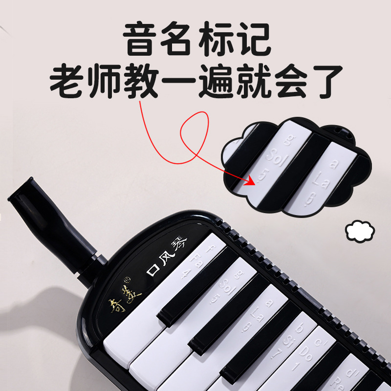 Chimei Mouth Organ for Primary School Students, 32-Key 37-Key Kidsren's Adult Beginners Professional Wind Instrument Mouth Organ
