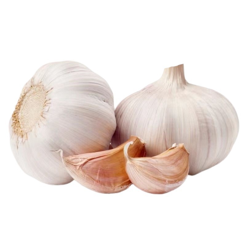 Garlic Headband Shandong Jinxiang Reduced Price Purple-Skinned Large Fresh Garlic Red-Skinned Dried Garlic Wholesale Mainland China