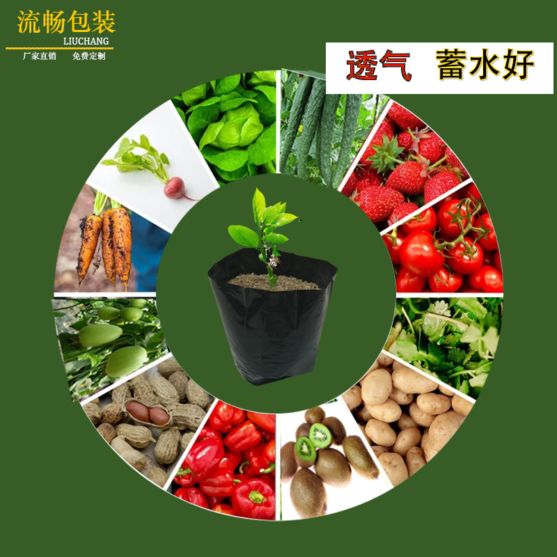 Pe planting bag seedling bag black and white matrix fruit and vegetable planting bag farm nutrition bag source manufacturer