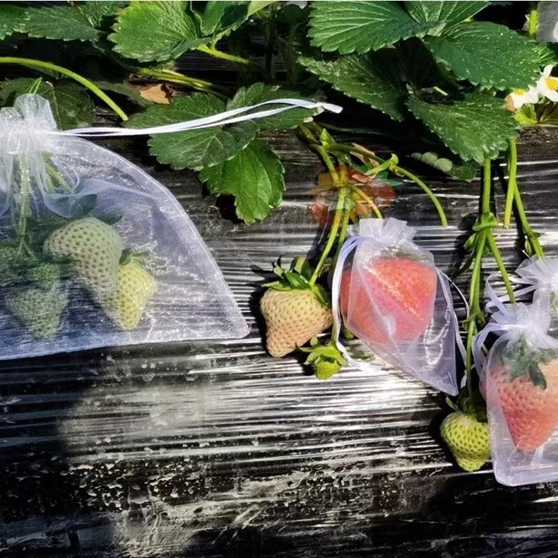 Special Mesh Bag for Fruit Protection Bag, Anti-Bird and Insect-Proof Mesh Bag, Tomato Tomato Grape Fruit Bag