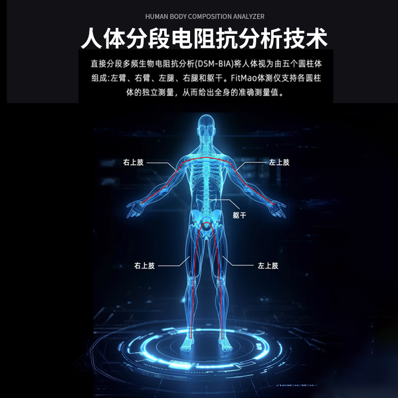 Cross-Border Amazon Human Body Bia Bioimpedance Analyzer Physical Examination Bmi Measurement Body Fat Measurement Instrument Manufacturer