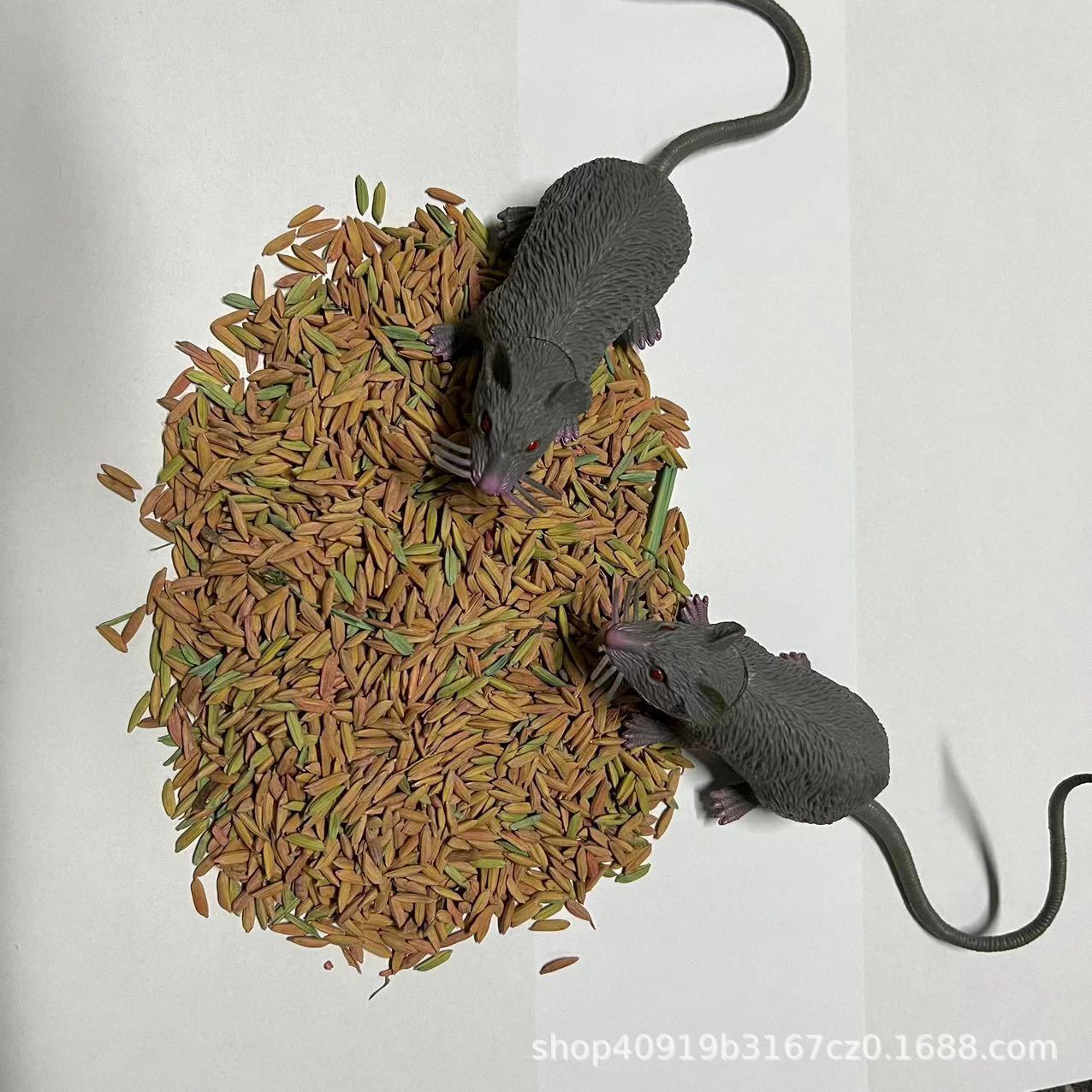 Wholesale Rat Rice Grain Rat Bait Poison Rat Trap Artifact Black Technology Commercial Environmentally Friendly Rodent Control Insect Repellent Grain