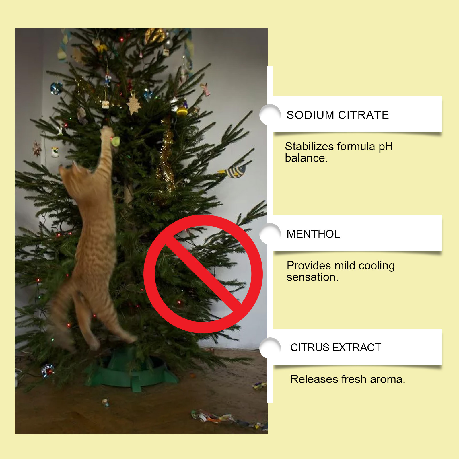 Yegbong Indoor Cat Repellent Spray, Indoor and Outdoor Anti-Cat Scratching Household Anti-Urination Repellent