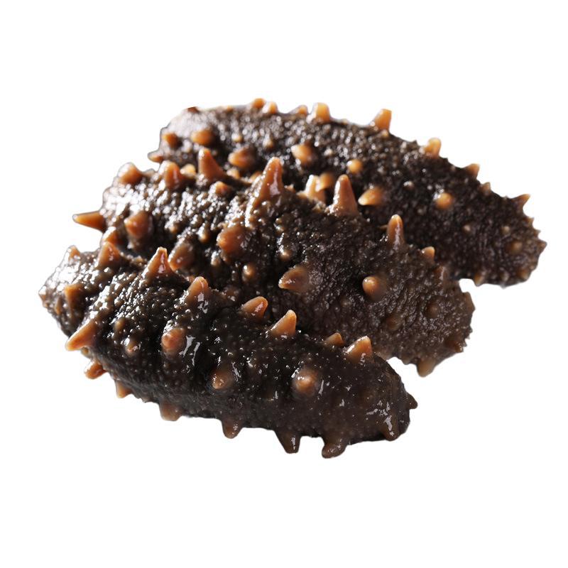 Instant Sea Cucumber 8-15 Pieces Dalian Sea Cucumber Liaoning Sea Cucumber Instant Sea Cucumber 500 Vacuum Packaging Nourishing Product for Pregnant Women