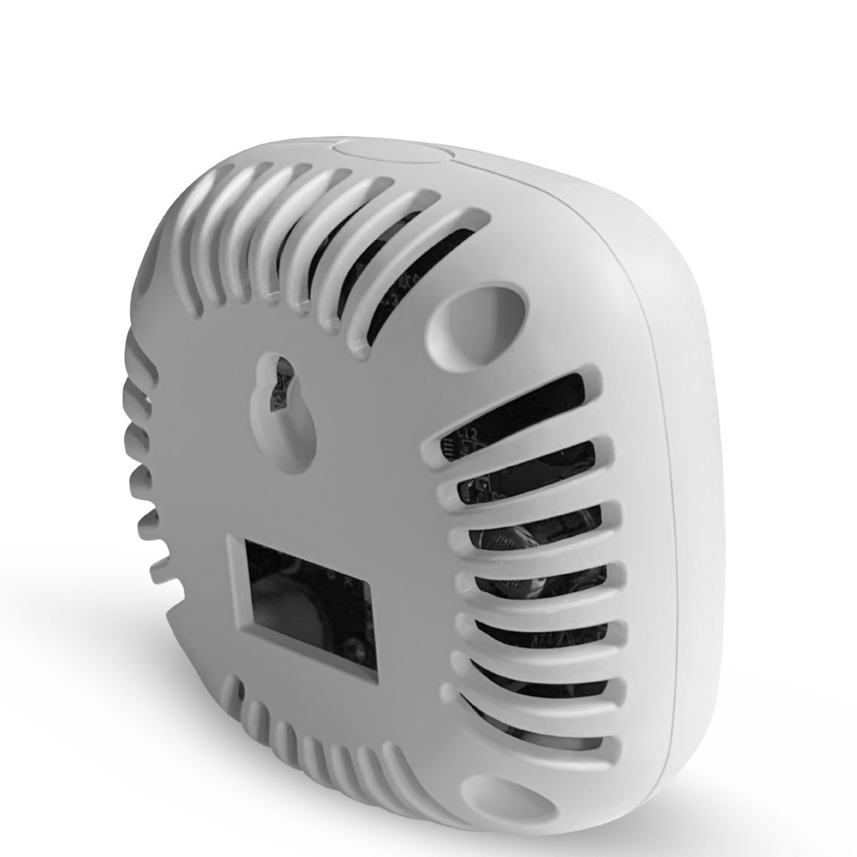 Gas Alarm Wifi Smart Version Carbon Monoxide Alarm Gas Leak Alarm