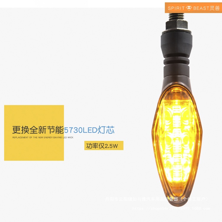 Suitable for Dongfeng 250Clc Decorative Motorcycle Turn Signal Modification Waterproof Led Light Direction Light Wholesale