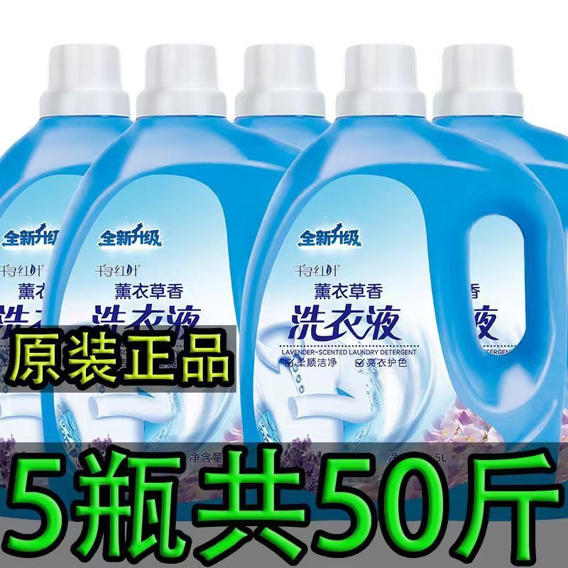 Lavender Laundry Detergent Large Barrel Full Box Batch Perfume Refreshing Fragrance Concentrated Men's Super Fragrance Household Special Pack