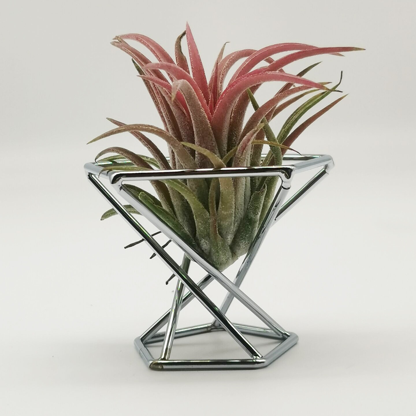 Pineapple Plant Stand, Geometric Air Plant Stand, Iron Orchid Stand, Beauty Egg Puff Storage Rack
