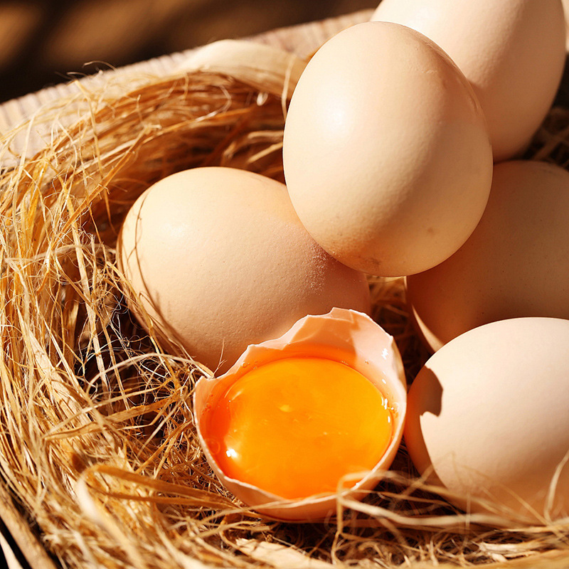 Fresh Eggs, 4-Pack, 12-Pack, Single Egg 40g+