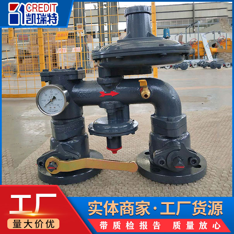 Wall-Mounted Building Pressure Regulating Box R Gas Pipeline Remediation Pressure Regulating Box Community Gas Pressure Regulating Box
