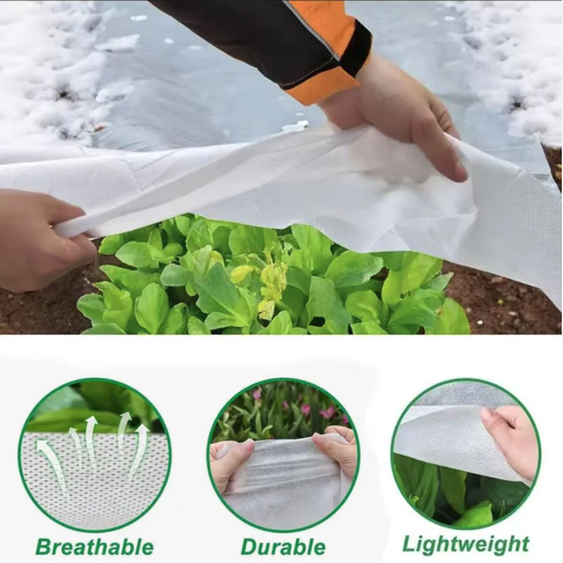 Cross-Border Agricultural Weed-Proof Cloth Orchard Planting Permeable Ground Cloth Thickened Anti-Aging Greenhouse Sliced ​​Perforated Non-Woven Fabric