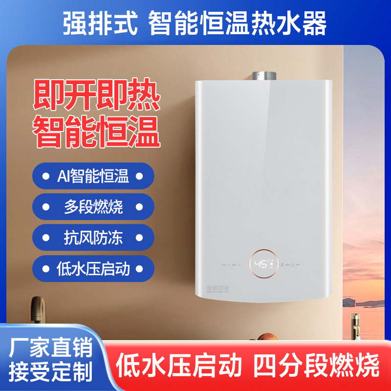 Wholesale Strong Exhaust Type Constant Temperature 16L Gas Water Heater Household Natural Gas Factory National Standard Engineering Customization