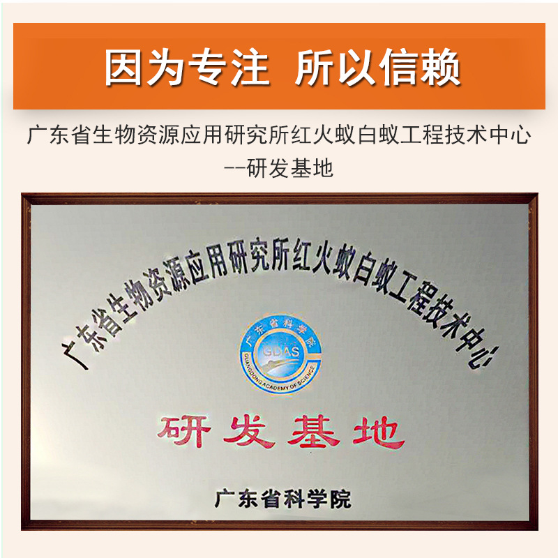 Ant Killer, Black and Yellow Ant Insecticide, Non-Toxic, Whole Nest Household One Nest Artifact, End Ant Killer Bait Wholesale