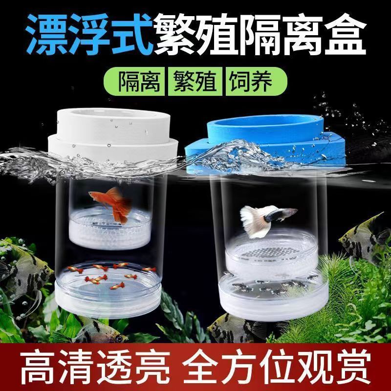 Main Shot Guppy Breeding Box Hatching Box Isolation Box Fish Tank Fry Isolation Female Fish Guppy Hatching Box