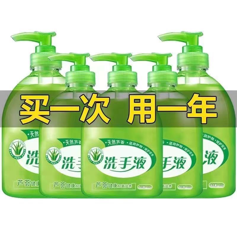 Aloe Vera Fragrance Hand Sanitizer 500g Fragrance Antibacterial Cleansing Moisturizing Press Bottle Children's Home Furnishing Wholesale