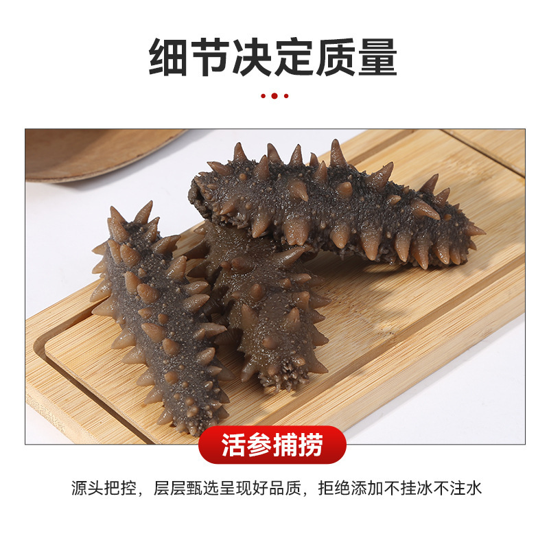 Sea Cucumber Manufacturers Wholesale Dalian Liao Sea Cucumber Ready-To-Eat, Chewy and Fresh, Frozen and Fresh-Locked