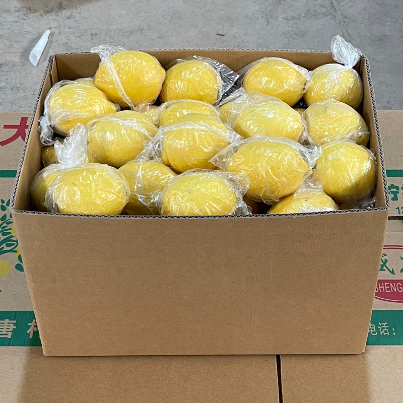 Fruit Wholesale Fresh Anyue Yellow Lemon Medium and Large Fruit 1 Catties 3-4 First-Class Juice Duoyulik Starting from 2.5kg