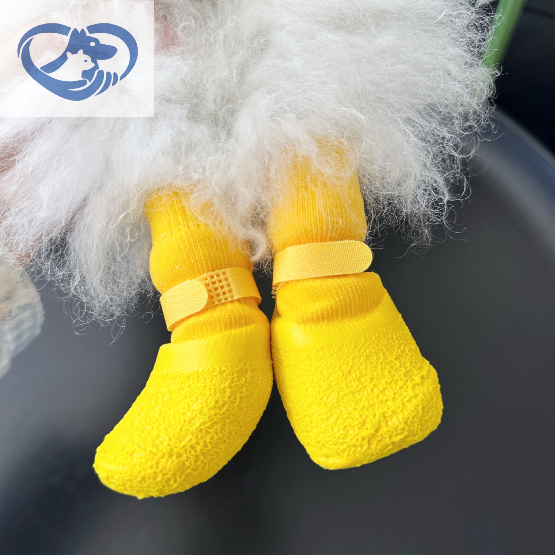25 Years New Dog Waterproof Socks Pet Dog Silicone Rain Boots Non-Slip Wear-Resistant Shoes and Socks Outdoor Sports Zhiyuan Factory