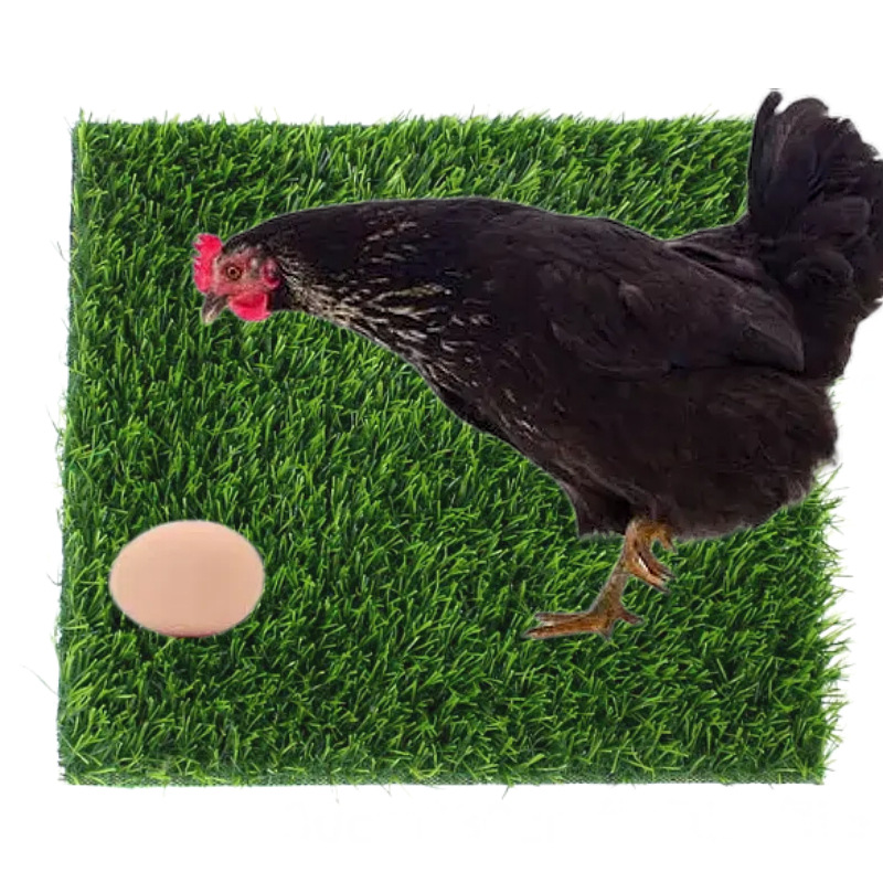 Simulated Chicken Nest Lawn Mat Easy to Clean and Warm Pet Egg-Catching Green Chicken Nest Mat Lawn Carpet Chicken Nest Grass Mat