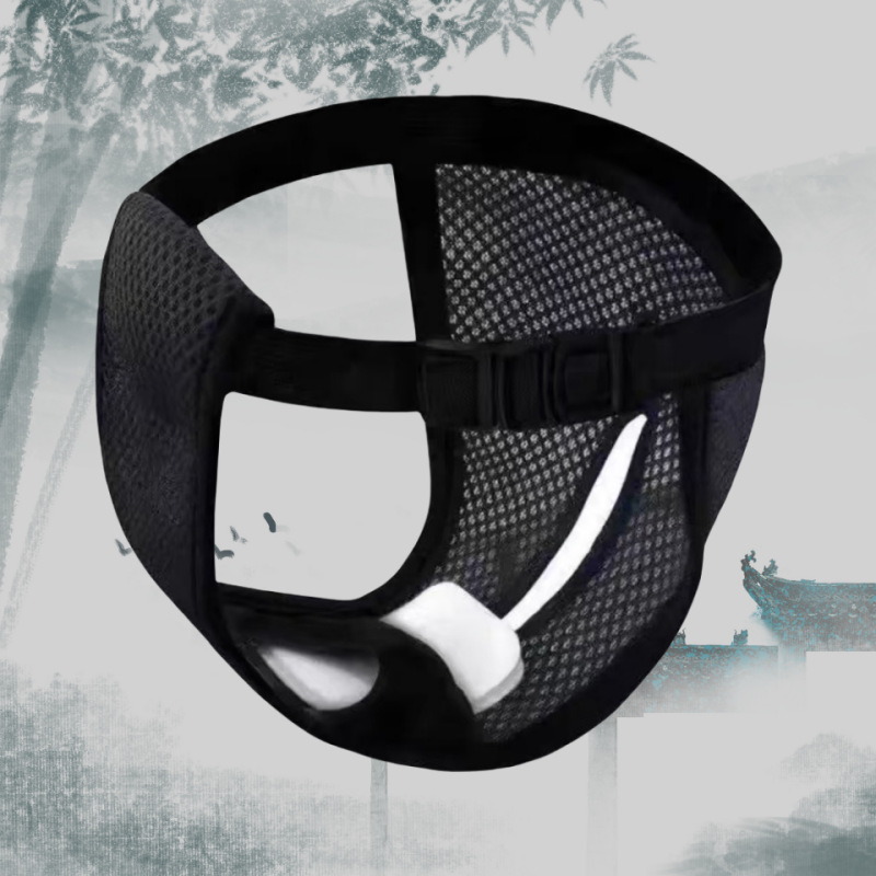 Cross-Border Hot Selling Dog Menstrual Pants Pet Menstrual Pants Safety Pants Pet Sanitary Diapers Anti-Harassment Underwear