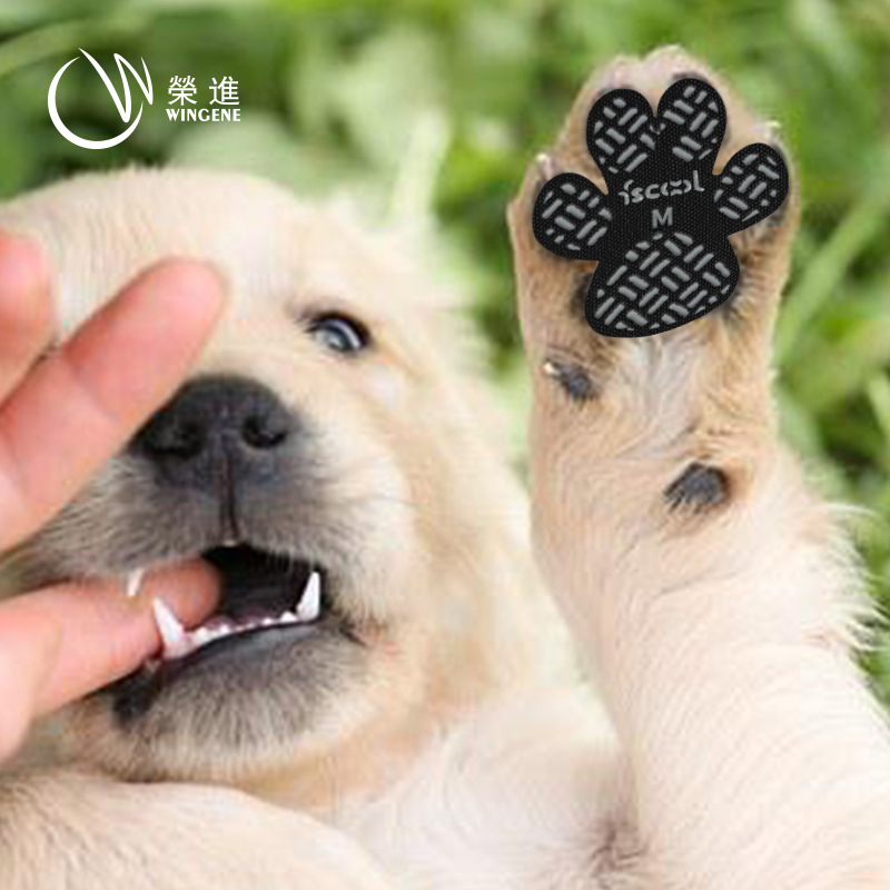 Manufacturer's New Pet Products Breathable Dog Foot Patch Non-Slip Waterproof Dog Insole Dog Shoes Cross-Border Amazon