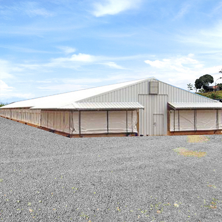 Steel Structure chicken coop export production frame stable free installation drawings steel structure chicken coop building