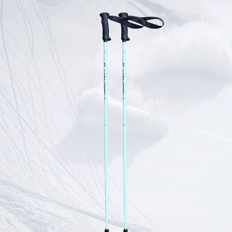 Aluminum Alloy Ski Poles, Lightweight and Strong, Universal Silk Flowers for Men, Women, Teenagers and Children