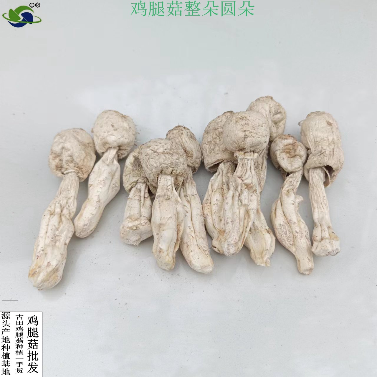 Фабрика Синьжунью оптовая продажа куриных грибов