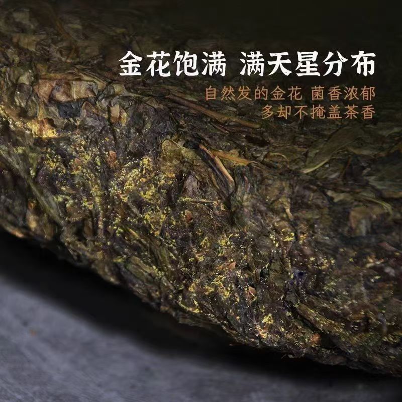 Source bulk wholesale 2015 Hunan Anhua black tea alpine big leaf golden flower Fuzhuan brick tea 1KG golden flower full